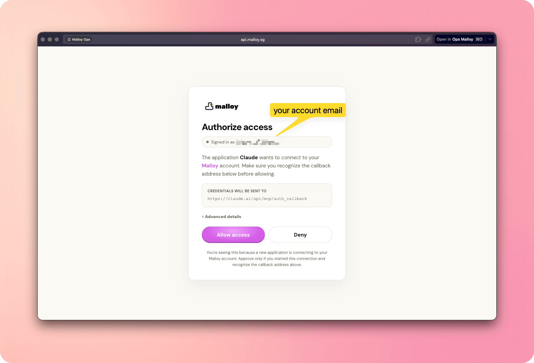 Malloy access page with the signed-in email and Allow access button